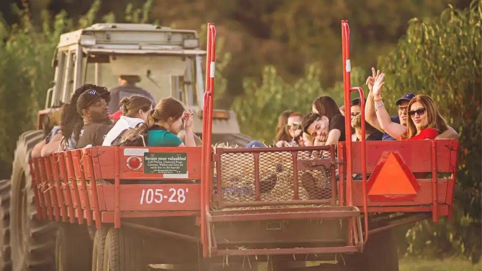 A group of smiling people riding a red hay wagon pulled by a tractor through the orchard at Linvilla Orchards on a sunny fall afternoon.